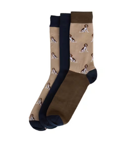 Barbour - Beagle Dog 3-Pack Sock Gift Set, Tan